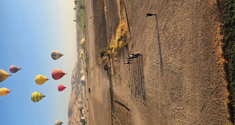 Globos aerostáticos volando sobre un paisaje rural.