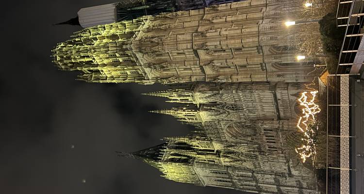 Gran catedral gótica iluminada por la noche.