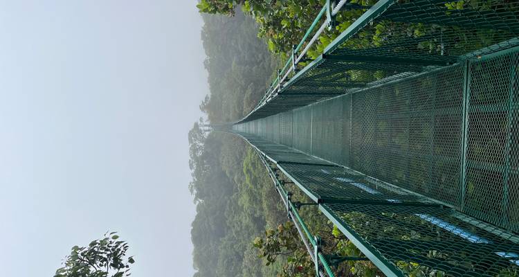 Hängebrücke über einer bewaldeten Landschaft.