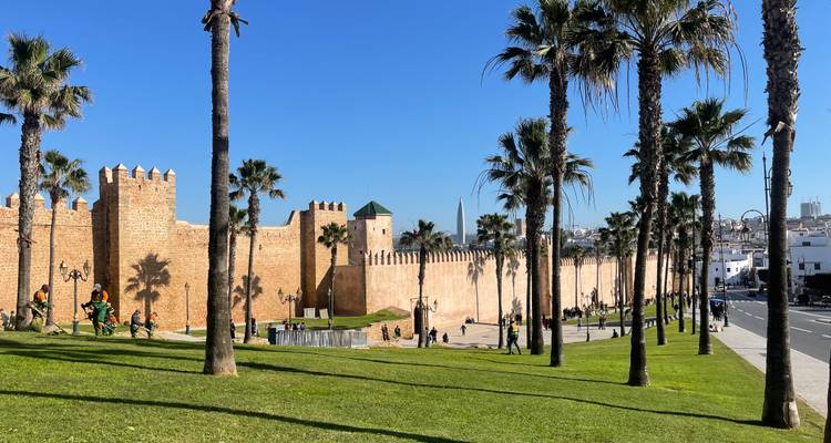 Vue des anciens remparts de la ville bordés de palmiers.