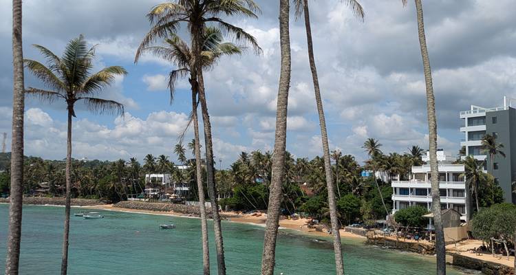 Vue côtière avec palmiers, plage et bâtiments.