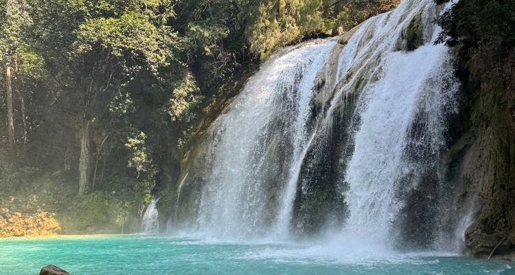 Cascade se déversant dans un bassin turquoise entouré de verdure.