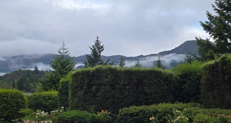 Landschap met groen, bergen en wolken op de achtergrond.