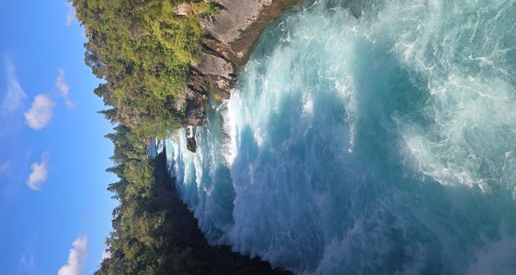 Rivière qui coule avec des rapides entourée d'une forêt dense.