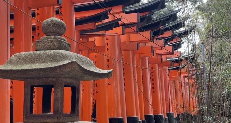 Fushimi Inari Taisha Schrein mit einer Reihe von roten Torii-Toren.