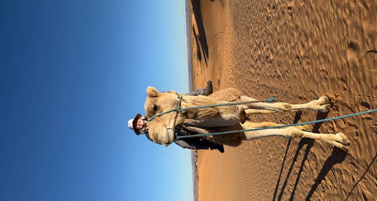 Persona montando un camello en el desierto.
