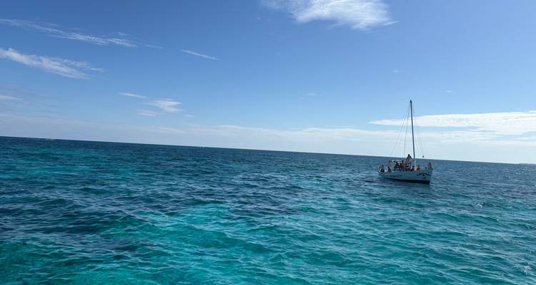 Velero en el océano bajo un cielo soleado con personas en cubierta.