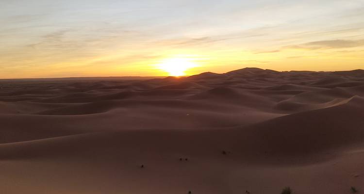 Paysage désertique au lever du soleil avec des dunes et une lumière solaire diffuse.
