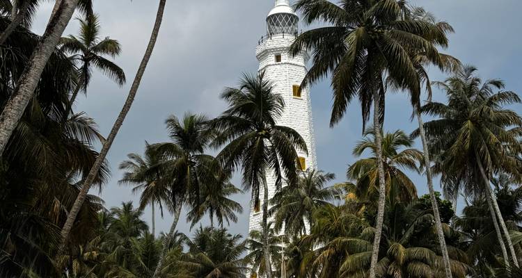 Un phare entouré de grands palmiers contre un ciel nuageux.