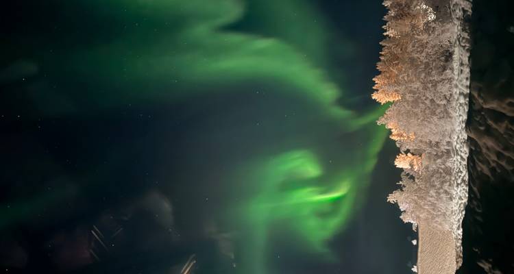 Dramatische vertoning van noorderlicht boven een besneeuwde landschap en bomen 's nachts.