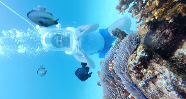 Persoon onder water met vissen in een duikhelm die een koraalrif verkent.