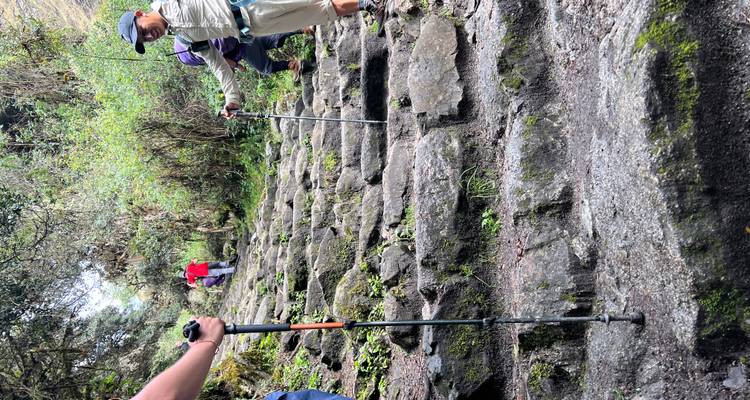 Gruppe von Menschen, die steinerne Stufen in einem Wald hinaufwandert.