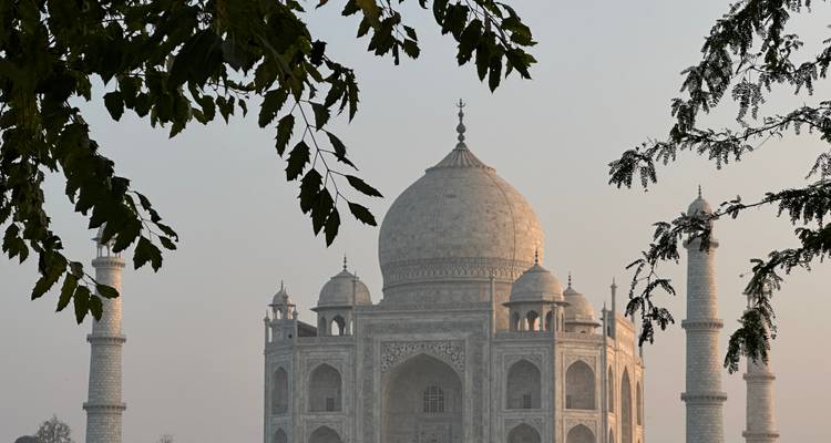 Mausolée emblématique à coupole du Taj Mahal encadré par des feuilles surplombantes dans la brume matinale douce.