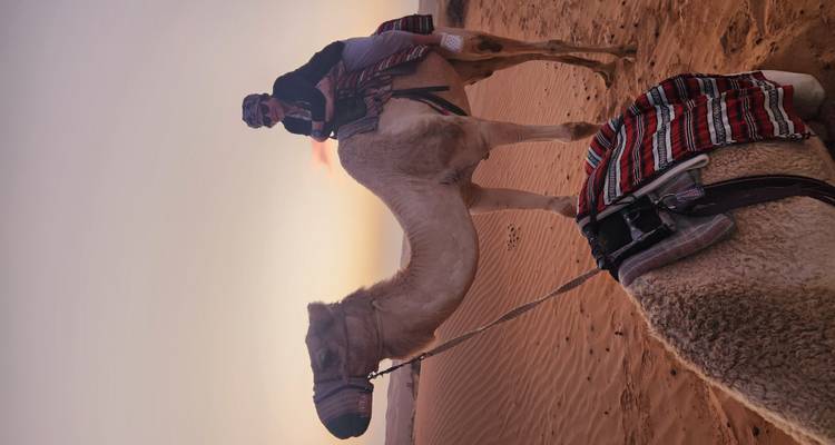 Persona montando un camello en el desierto durante la puesta de sol.
