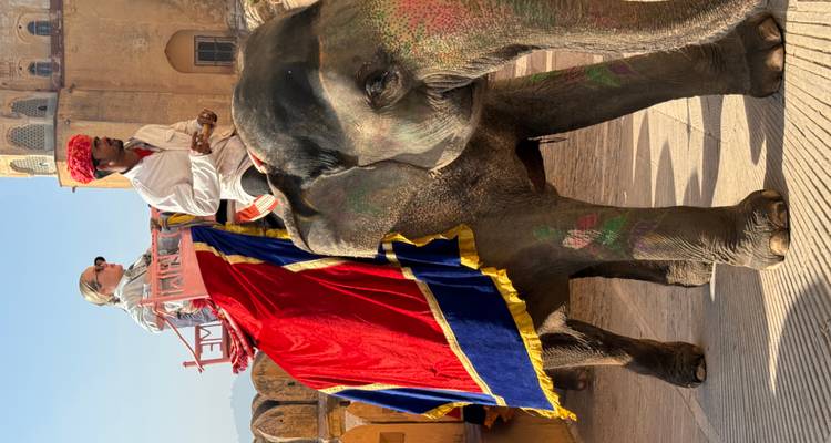Balade à dos d'éléphant sur un site historique avec des cavaliers en tenue traditionnelle.