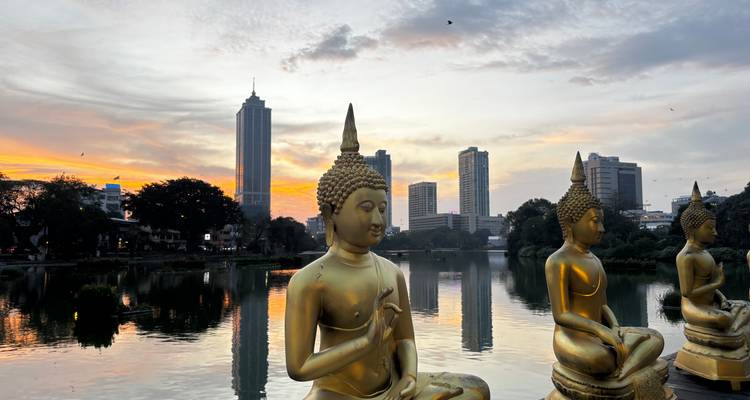 Statues de Bouddha dorées surplombant un lac avec l'horizon moderne de Colombo au coucher du soleil