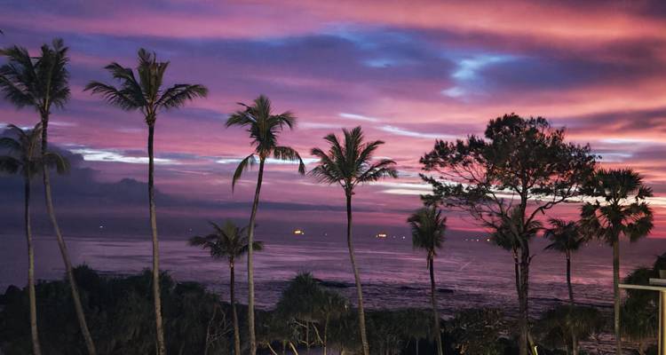 Cielo del amanecer de color púrpura y rosa intenso sobre siluetas de palmeras y un horizonte oceánico en calma.