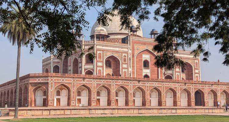 Le tombeau de Humayun en grès rouge encadré par des branches feuillues par un matin clair