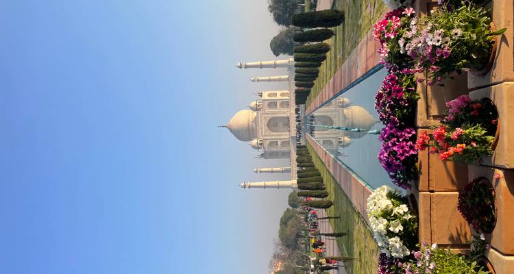 Vue symétrique du Taj Mahal reflété dans son long bassin bordé de fleurs en floraison sous un ciel bleu dégagé