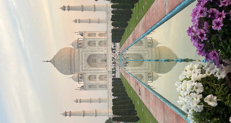 Reflejo clásico del atardecer del Taj Mahal enmarcado por flores coloridas en primer plano.
