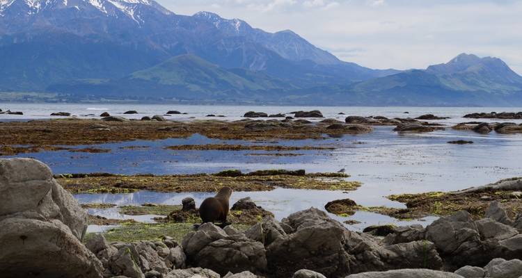 Nouvelle- Zélande : L'île du Sud au complet - G Adventures 8