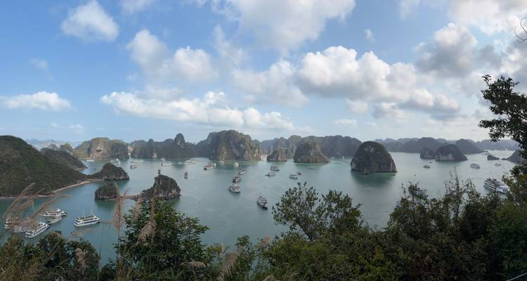 Panoramic view of Halong Bay with numerous cruise boats sailing among limestone islands under blue sky and fluffy clouds