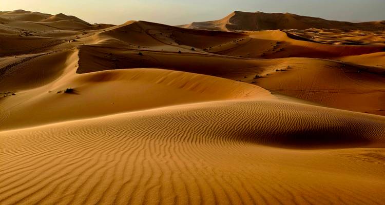 Sweeping golden sand dunes of the Sahara with rippled patterns under low sunlight.