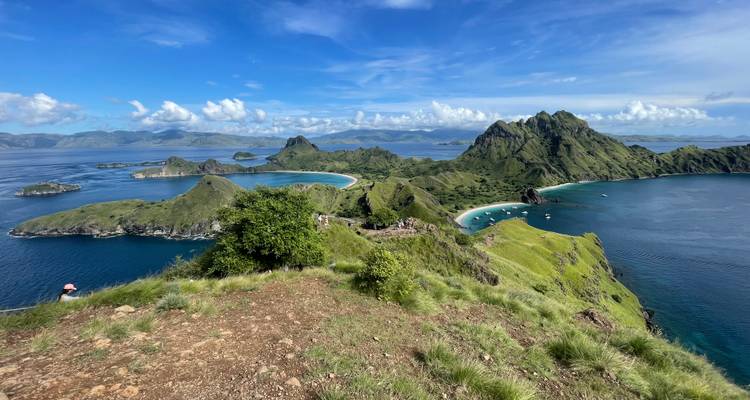 Vue panoramique depuis l'île de Padar avec de multiples plages en croissant et une mer émeraude encadrée par des pics escarpés.