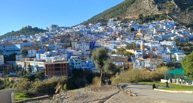Panoramic hillside view of Chefchaouen’s blue-painted houses cascading beneath a forested peak.