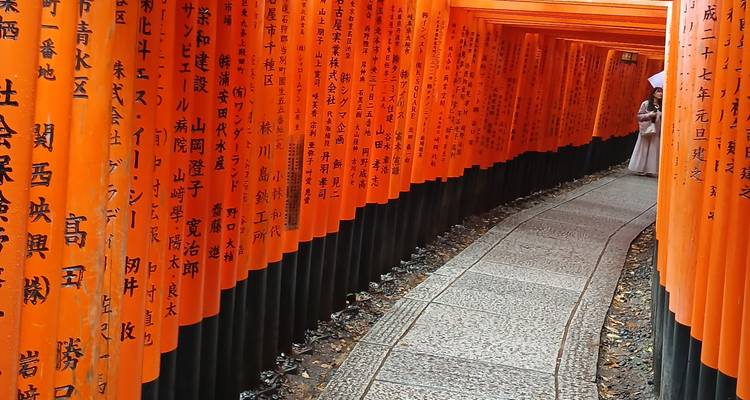 Endless corridor of vermilion torii gates at Fushimi Inari Shrine curving into the distance with a lone visitor.