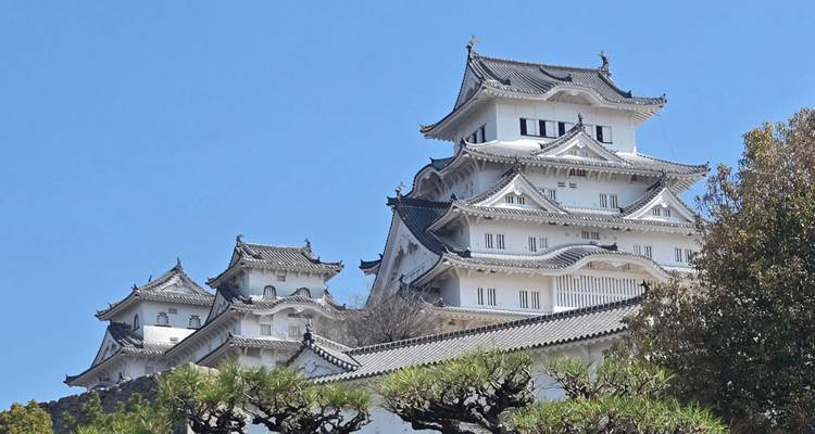 Immaculate white tiers and curved roofs of Himeji Castle rise majestically against a clear blue sky.