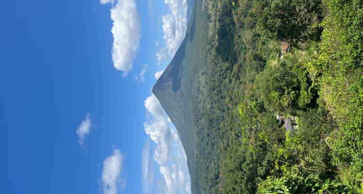 Cono icónico del Volcán Arenal elevándose sobre la exuberante selva tropical verde bajo un cielo azul cristalino.