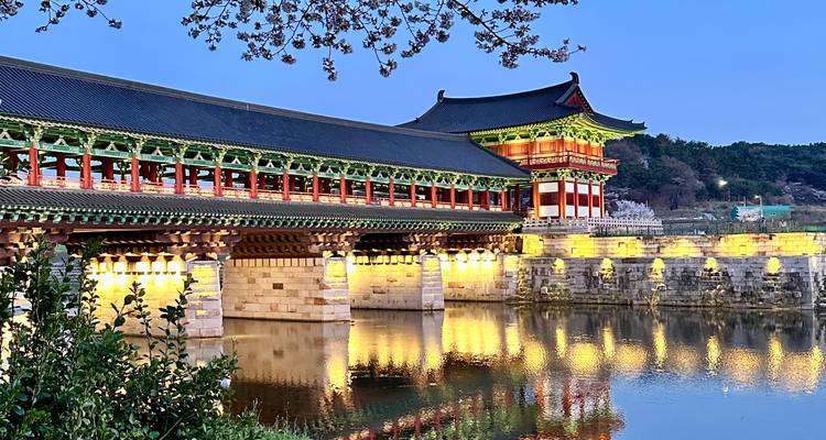 Puente cubierto tradicional coreano iluminado reflejado perfectamente en agua quieta durante la hora azul con ramas de cerezo en flor arriba.