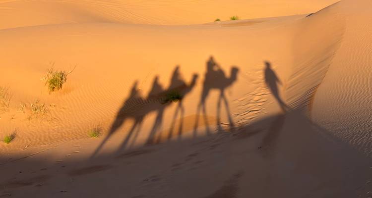 Lange Schatten von Kamelreitern erstreckten sich bei Sonnenuntergang über die orangefarbenen Dünen der Sahara.