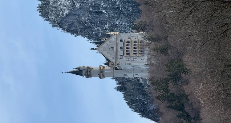 L'iconique château de Neuschwanstein en pierre blanche perché sur un versant de montagne boisé saupoudré de neige.