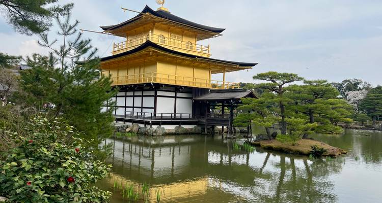 Le Pavillon d'Or (Kinkaku-ji) brille au-dessus de son étang réfléchissant encadré par des pins et des arbustes taillés.