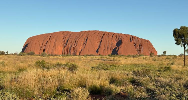 Uluru, le monolithe massif de grès rouge, s'élevant au-dessus d'une prairie sèche sous un ciel bleu clair