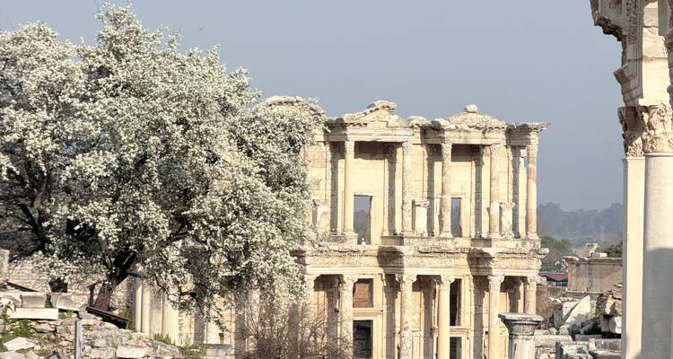 La façade de la bibliothèque de Celse encadrée par un arbre en fleurs par une journée claire.