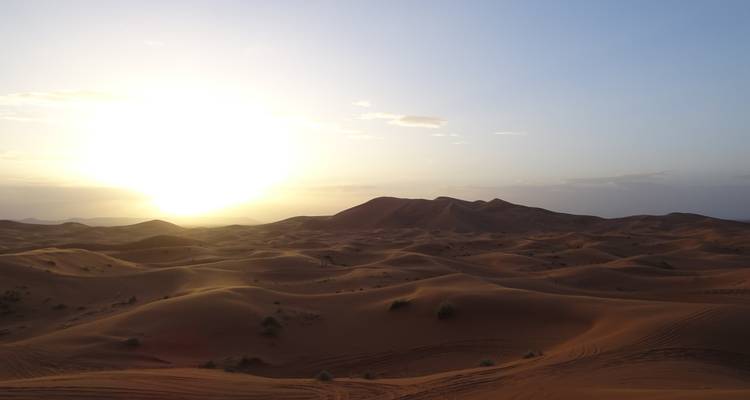 Golden sun setting over rolling Sahara sand dunes creating long shadows and soft light