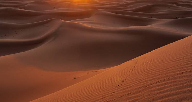 Sich wellende Wüstendünen, die in warmes Sonnenlicht getaucht sind, mit einer einzigen Spur von Fußabdrücken am Hang.