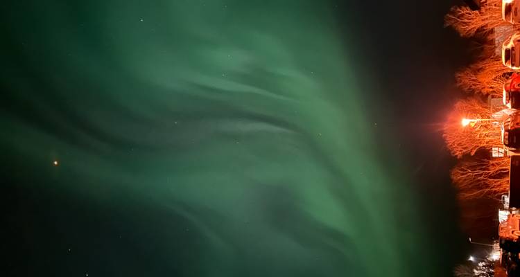 Des aurores boréales vertes dansent dans un ciel nocturne sombre au-dessus de voitures garées et d'arbres sans feuilles