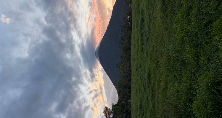 Vista dramática del Volcán Arenal elevándose sobre pastizales verdes bajo nubes coloridas del amanecer.