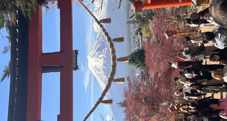 Le mont Fuji enneigé parfaitement encadré sous un torii shinto rouge avec des fleurs de printemps et des touristes en contrebas.