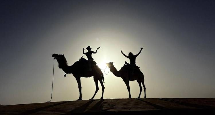 Des cavaliers en silhouette lèvent les bras au sommet de deux chameaux contre le soleil éclatant du désert.