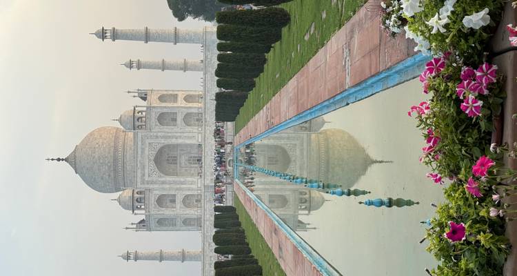 Vue frontale iconique du Taj Mahal avec reflet dans le long canal d'eau et fleurs au premier plan.