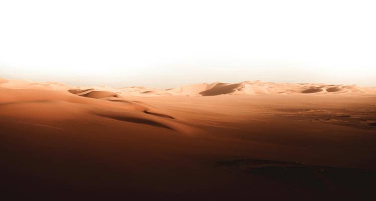 Une lumière dorée illumine les vastes dunes de sable ondulantes du Sahara, créant des ombres balayantes et des motifs désertiques minimalistes.