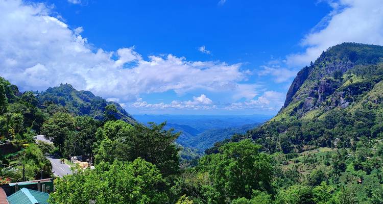 Valle montañoso panorámico de exuberante vegetación y cordilleras azules distantes bajo un cielo brillante.