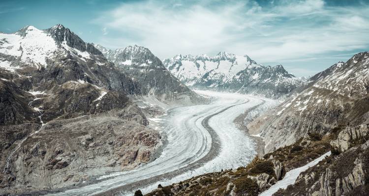 Panoramablick auf den Aletschgletscher, der sich zwischen schneebedeckten Alpen schlängelt.