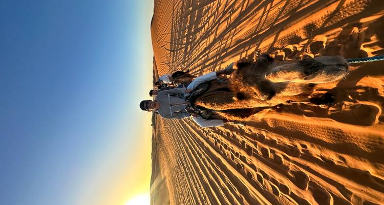 Line of travellers riding camels across rippled sand as the sun sets over the desert horizon, casting long shadows.