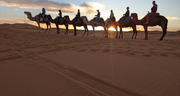Silhouetted camel caravan crosses the dunes at sunrise with golden light on the horizon.